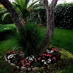 Rusulica Apartment *