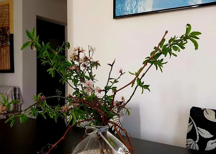 Apartamento Rusulica Pirovac